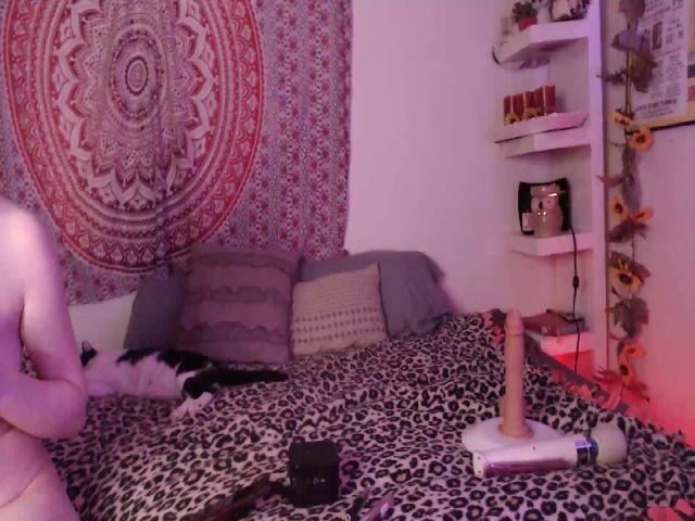 Live sex webcam photo for Missdankkitty #265979985