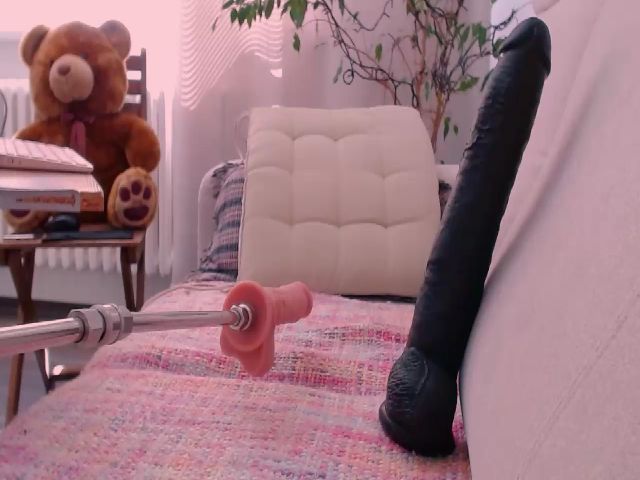 Live sex webcam photo for WildredheadCZ #266004599