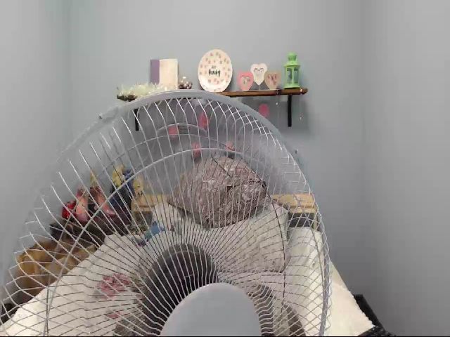 Live sex webcam photo for Jen__Angel #266007866