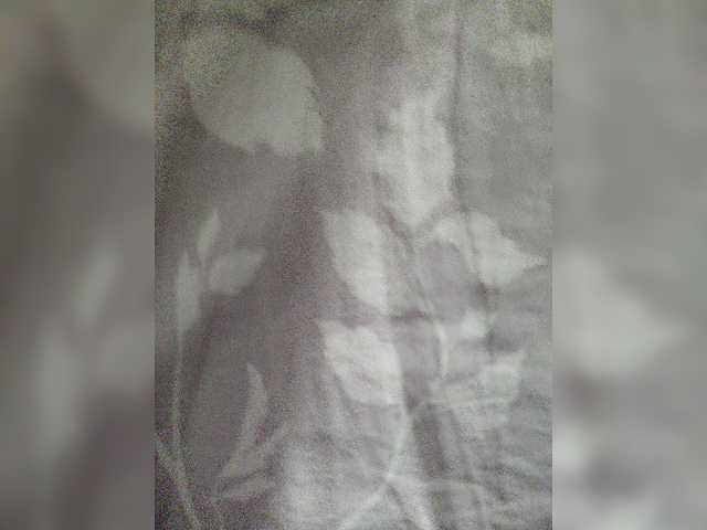 Live sex webcam photo for Citrus7 #265797380