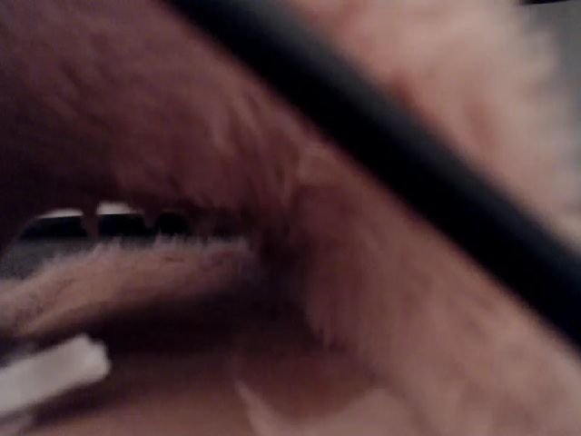 Live sex webcam photo for TessaPerf #266197658