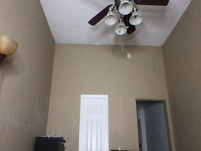 Live sex webcam photo for BDAYSXAMLEUY_ #265841583