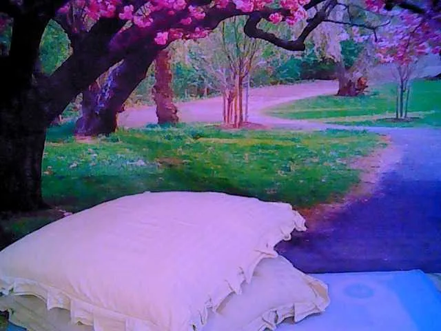 Live sex webcam photo for indianroxy #287933243