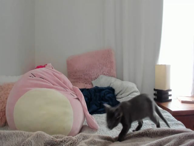 Live sex webcam photo for Meganholly00 #266544832