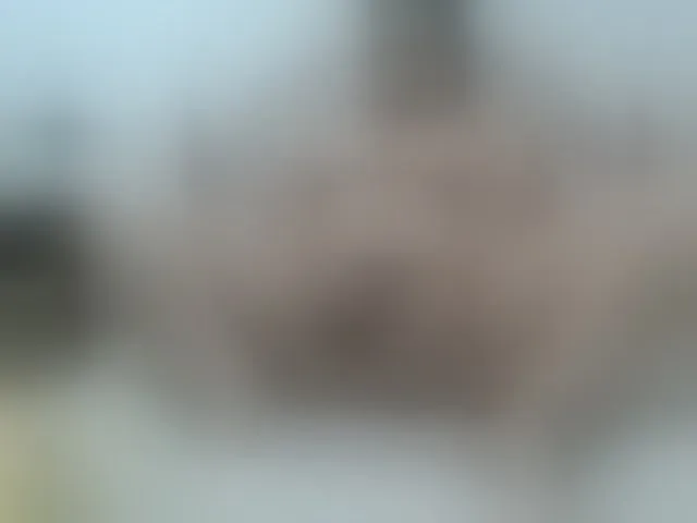 Live sex webcam photo for playfullhairy #266318659