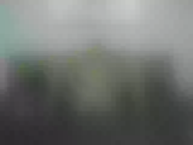 Live sex webcam photo for VickyVelvet #267242733