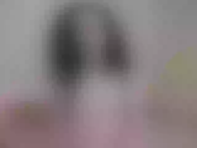 Live sex webcam photo for LoveTeaseYou #267037612