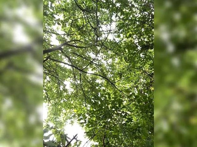 Live sex webcam photo for Sweet-Emma-1 #267036749