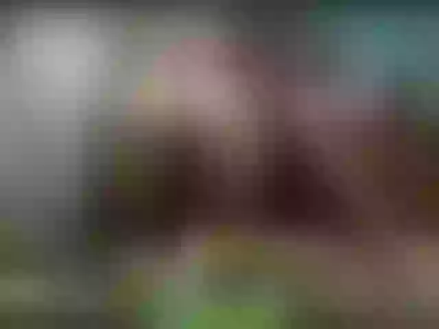 Live sex webcam photo for alisablond #267557163
