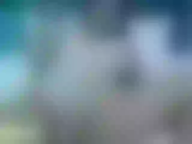 Live sex webcam photo for LauGarciaa #267557384