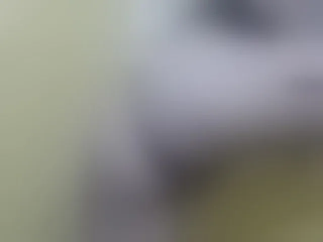Live sex webcam photo for PartyGirls111 #267363990