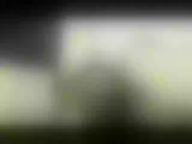 Live sex webcam photo for LeaMoak #267470618