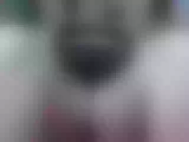 Live sex webcam photo for Victoriamor #267807278