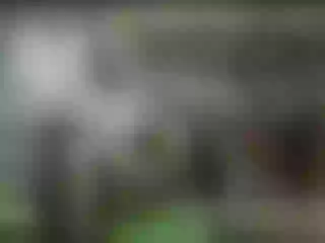 Live sex webcam photo for alisablond #268002283