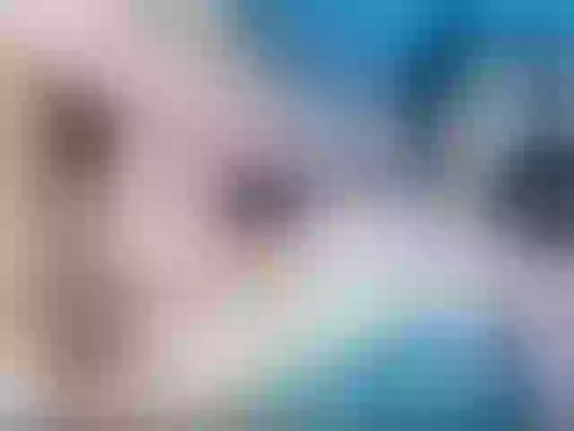 Live sex webcam photo for perverso-lust #267804999