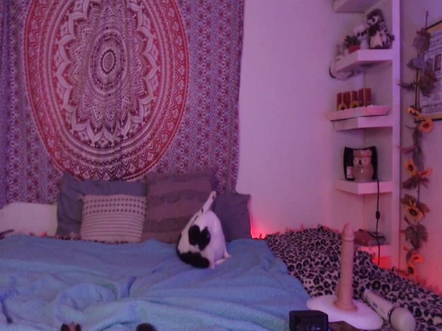 Live sex webcam photo for Missdankkitty #267950844