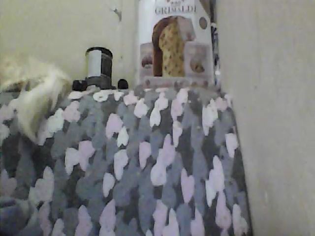 Live sex webcam photo for GuiltyKitty #268542686