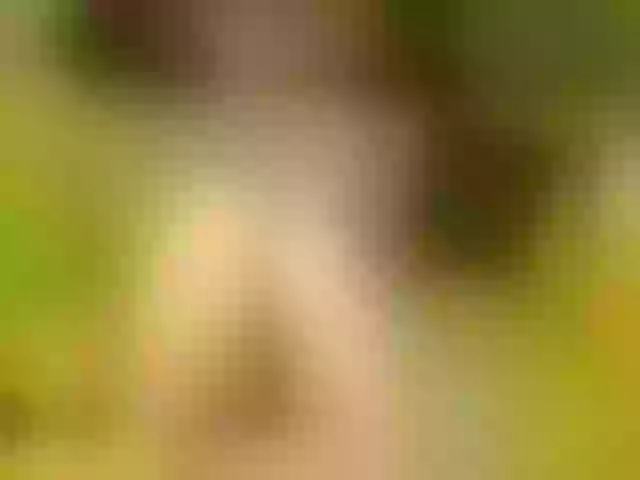 Live sex webcam photo for Luiziana111 #268568442