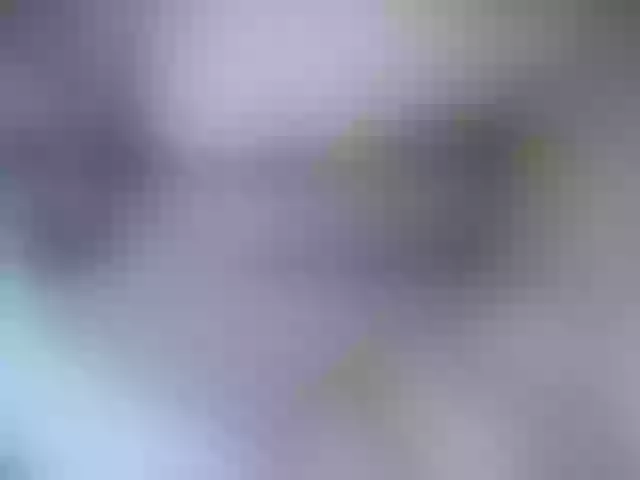 Live sex webcam photo for hotgarden #268552405