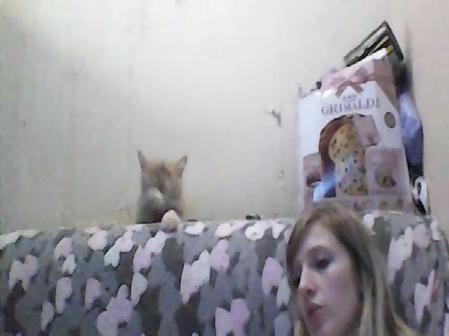 Live sex webcam photo for GuiltyKitty #268570180