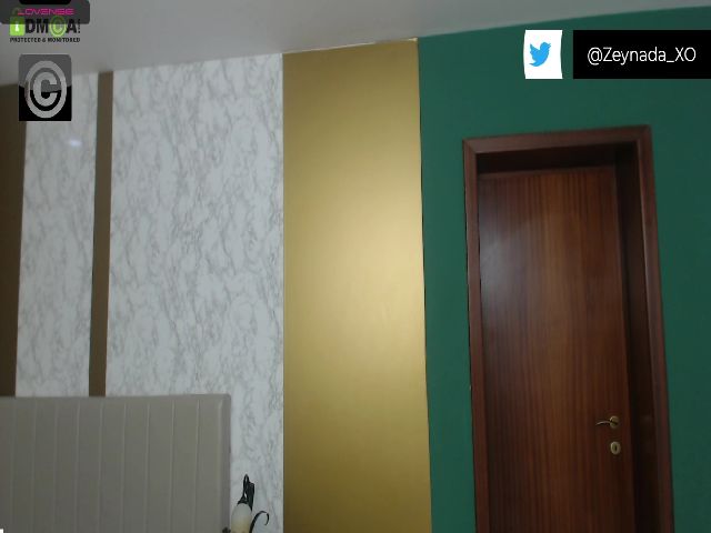 Live sex webcam photo for SpicedZeynada #268570319