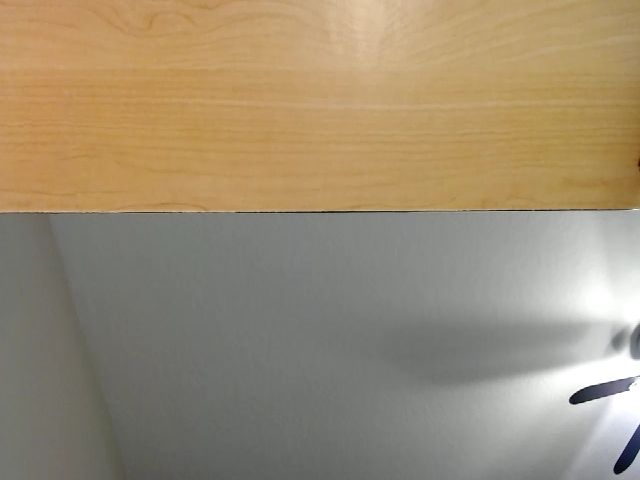 Live sex webcam photo for BadGirlHaleXX #268588309