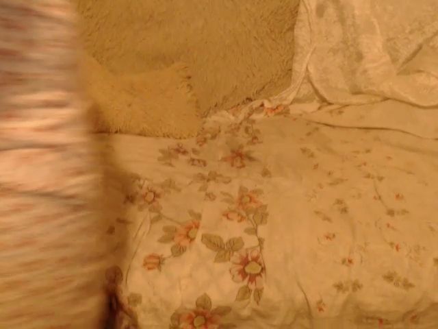 Live sex webcam photo for Coffee_Lady #268588270