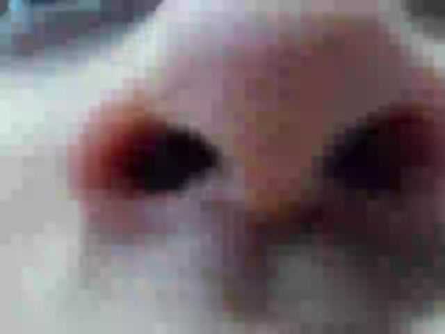 Live sex webcam photo for xxxbitcheshot #268579646