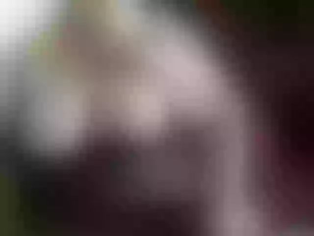 Live sex webcam photo for Tvoi-Persik #268601910