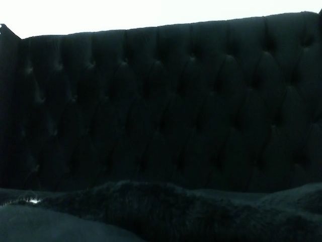 Live sex webcam photo for Sophia__Marie #268598978