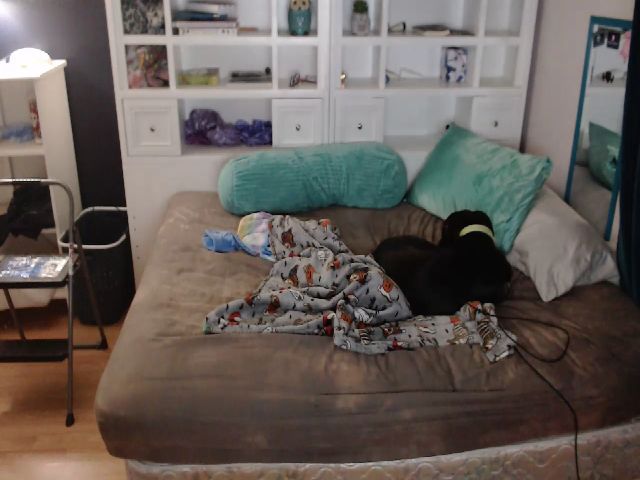 Live sex webcam photo for SweetNSouthrn #268600796