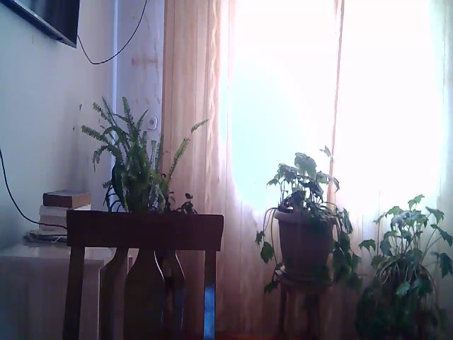 Live sex webcam photo for Rid_mina #268599178