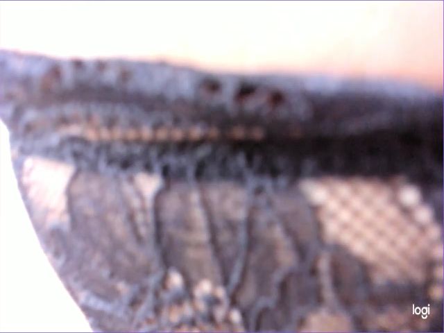 Live sex webcam photo for Akura_01 #268627078