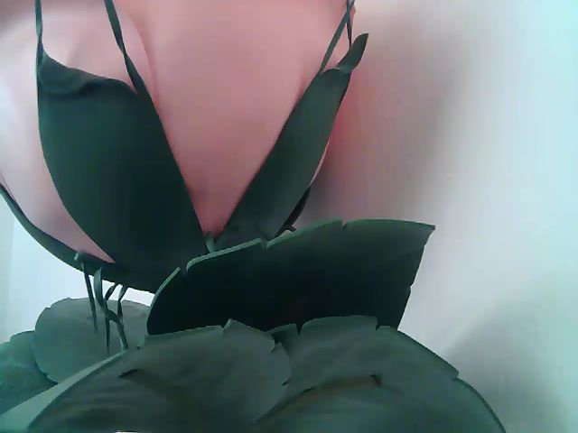 Live sex webcam photo for Rid_mina #268615467