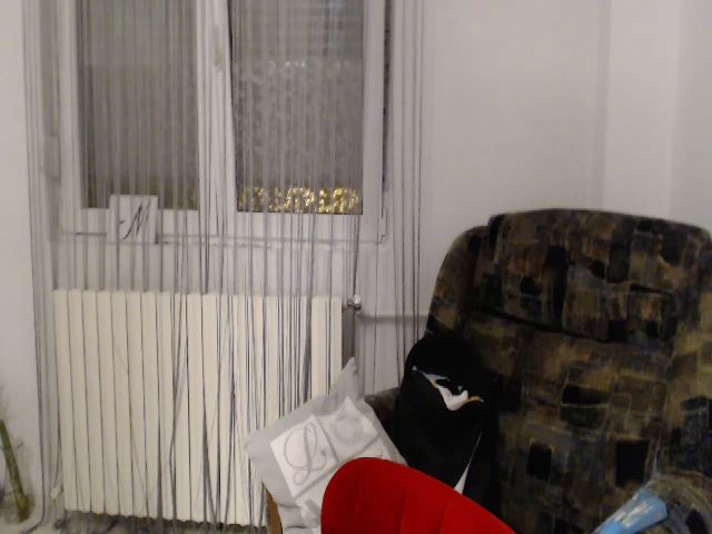 Live sex webcam photo for EnioNichols #268625856