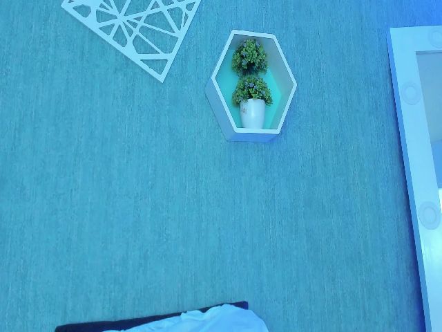 Live sex webcam photo for DanaBlush #268633658