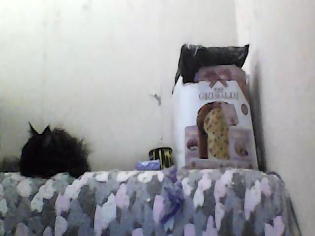 Live sex webcam photo for GuiltyKitty #268642710