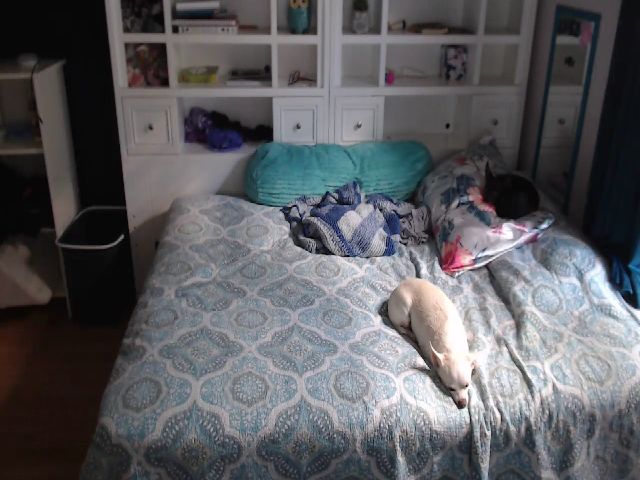 Live sex webcam photo for SweetNSouthrn #268649821