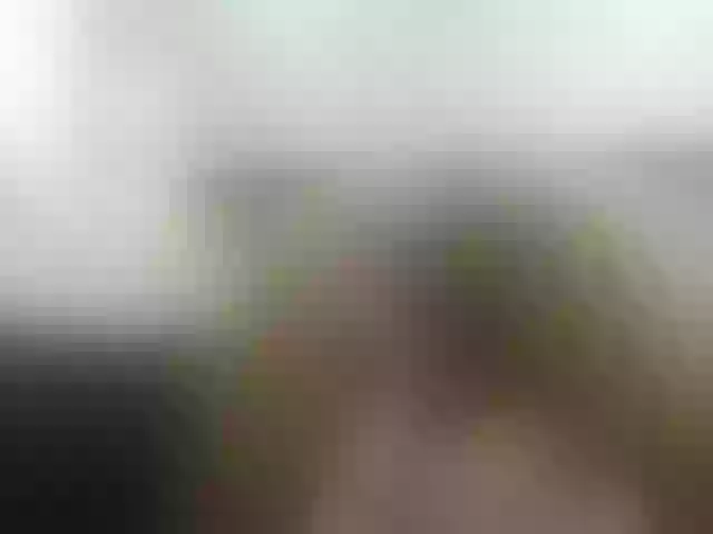 Live sex webcam photo for KiaraKaneel #268651939