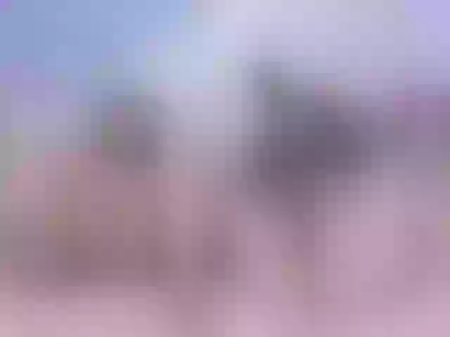 Live sex webcam photo for AlessiaftWen #268668705