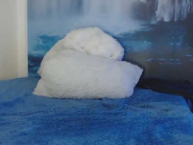 Live sex webcam photo for moonn-26 #268662683