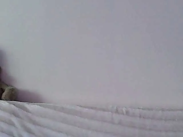 Live sex webcam photo for Alicekitty #268685656