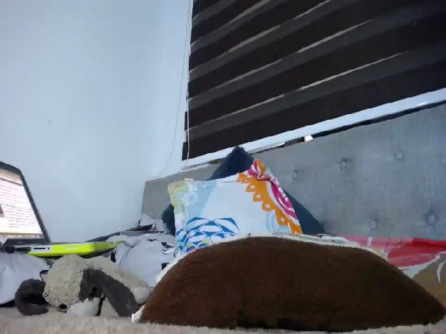 Live sex webcam photo for Miss_lizzii #268678507