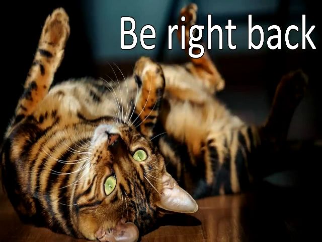 Live sex webcam photo for CharmingRay #268683716