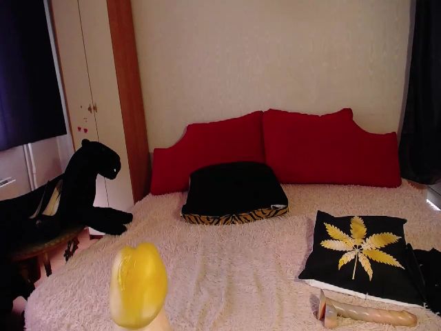 Live sex webcam photo for Evamdma #268678973