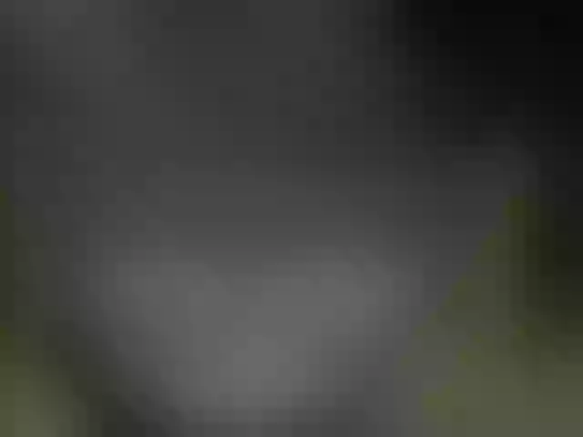 Live sex webcam photo for GilmoreLaeq #268703472