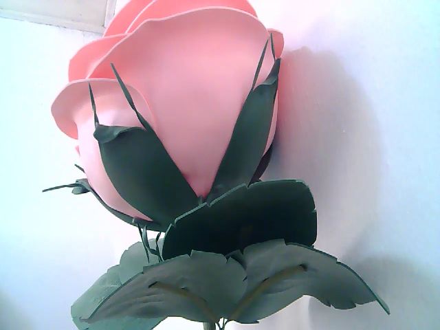 Live sex webcam photo for Rid_mina #268705885