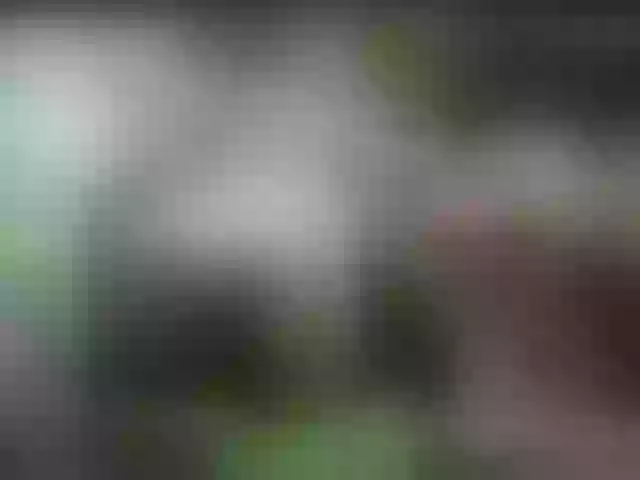 Live sex webcam photo for alisablond #268727663