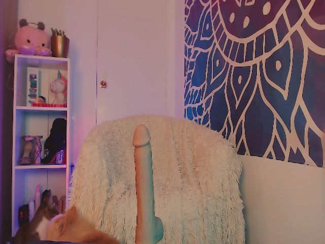 Live sex webcam photo for He11oa1ice #268733971