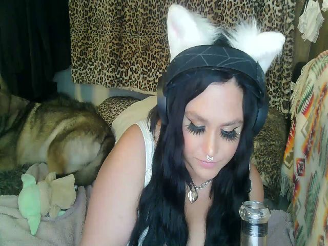 Live sex webcam photo for xxKittens #268732036